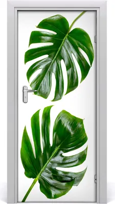Produktbild von Tulup Türaufkleber 85x205 cm Dekorative Aufkleber Selbstklebend Wasserdichte Tapete Abnehmbar Schlafzimmer Wohnzimmer Wohnkultur - Monster