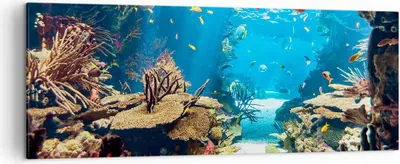 Produktbild von Bild auf Leinwand - Leinwandbild - Ozean Riff Fische Koralle - 140x50cm - Wand Bild - Wanddeko - Leinwanddruck - Bilder - Kunstdruck - Wanddekoration - Leinwand bilder - Wandkunst - AB140x50-2872