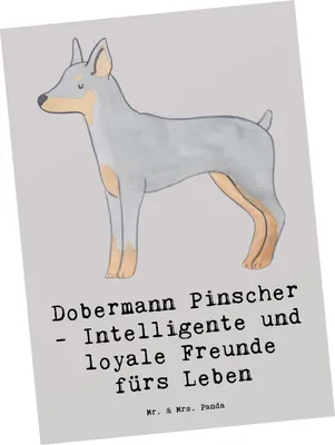 Produktbild von Mr. & Mrs. Panda Postkarte Dobermann Pinscher Freund - Grau Pastell - Geschenk, Hund, Hundeliebhaber, Wachhund, Ansichtskarte, Hunderasse, Postkarten, Hunderassen, treue