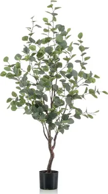 Produktbild von Emerald Künstlicher Eukalyptusbaum im Topf 120 cm
