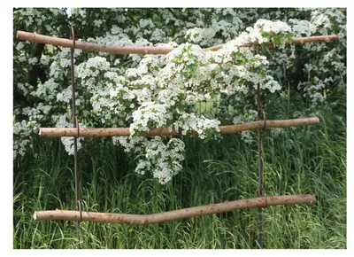 Produktbild von 2 Stück Staudenhalter Beetbegrenzer Zaun Naturdeko DIY Naturgarten Rankgerüst