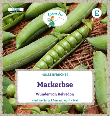 Produktbild von Grüne Fee - Markerbse Wunder von Kelvedon Samen - 15215