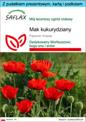 Zdjęcie produktu dla SAFLAX - Zestaw prezentowy - Mak kukurydziany - 27000 Nasiona - Z pudełkiem upominkowym, etykietą wysyłkową, kartą podarunkową i podłożem uprawowym - Papaver rhoeas