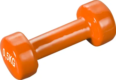 Produktbild von TRENDY SPORT Pesos Vinyl 0,5 KG ( Orange )