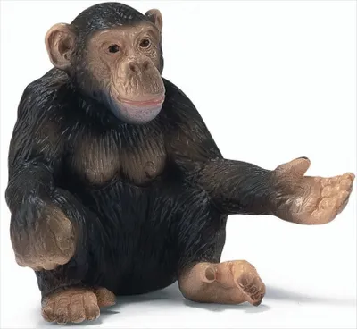 Produktbild von Schleich 14191Schimpansen Weibchen