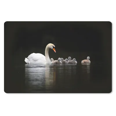 Produktbild von MuchoWow® Mauspad Mousepad Vögel - Schwan - Küken 27x18 cm - Mousepads - Maus Mat - Pad - Mausunterlage - Büroartikel - Desk Matten