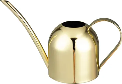 Productafbeelding van Famanu gieter van roestvrij staal - modern design - 500 ml - goud