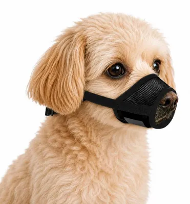 Immagine prodotto di Museruola per cani, regolabile, in rete traspirante, colore nero, taglia S