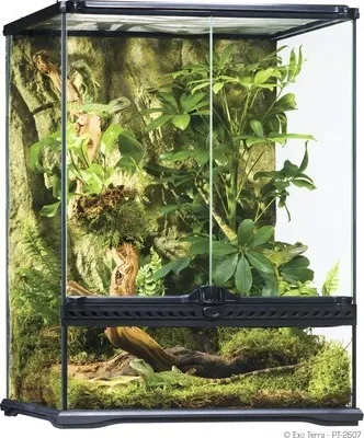 Produktbild von Terrarium, Paludarium Exo Terra 45 x 45 x 60 cm