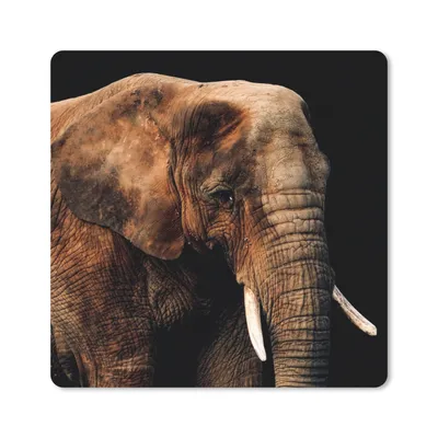 Produktbild von MuchoWow® Mauspad Mousepad Elefant - Tiere - Braun 20x20 cm - Mousepads - Maus Mat - Pad - Mausunterlage - Desk Mat - Bureauartikeln