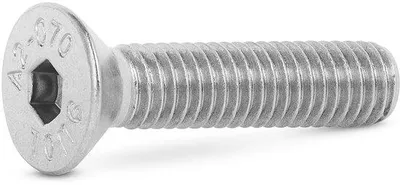 Productafbeelding van verzonken schroeven M12 x 60 mm - 10 stuks met zeskantkop
