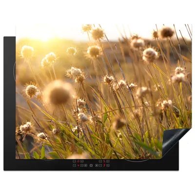 Produktbild von KitchenYeah© Herdabdeckplatte Pflanzen - Natur - Blumen - Sonne - Horizont , 77x59cm, Küche Deko, Glaskeramikkochfeld Herdabdeckung, Abdeckplatte fùr Kochfeld