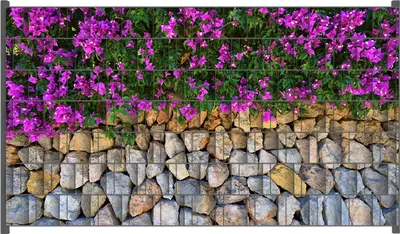 Produktbild von Wallario Zaunsichtschutz mit Motiv Mauer mit pinken Blüten für Ein- und Doppelstabmatten Zäune in der Größe 250 x 140 cm