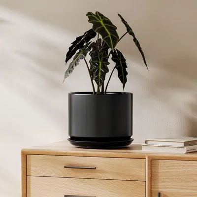 Produktbild von Keramik-Blumentopf 20 cm mit Untersetzer Schwarz