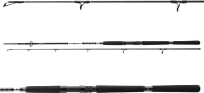 Produktbild von DAIWA BG Offshore Boat, 2,4m, 7,87ft, 150-400g, 2 Teile, Boots Angelrute, 11928-242