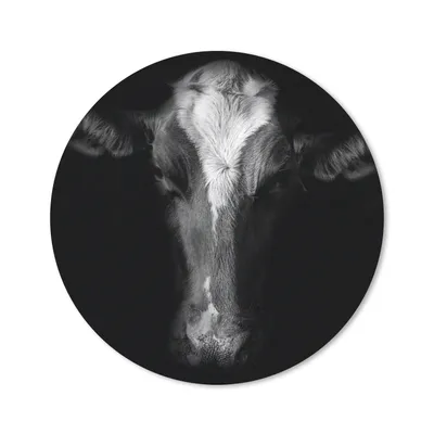 Produktbild von MuchoWow® Mauspad Mousepad Kuh Porträt auf schwarzem Hintergrund in schwarz und weiß 40x40 cm - Mousepads - Maus Mat - Pad - Mausunterlage - Schreibtisch Accessoires