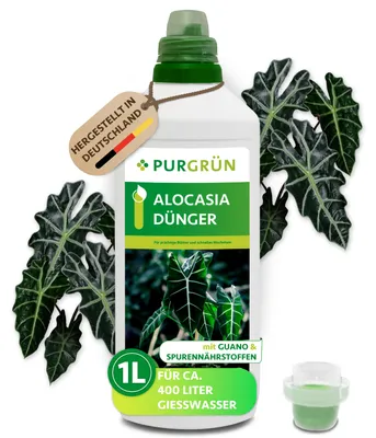 Produktbild von Purgrün Alocasia-Dünger | Flüssigdünger für Alocasien | 1L