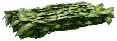 Immagine prodotto di vidaXL Schermatura per balcone con foglie verdi e gialle 500 x 100 cm