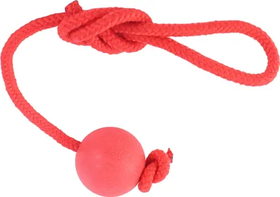 Produktbild von Hundekugel Seil Spielzeug interaktiver Bissfest sicherer Gummi mit für das Außentraining 5 cm / 2in