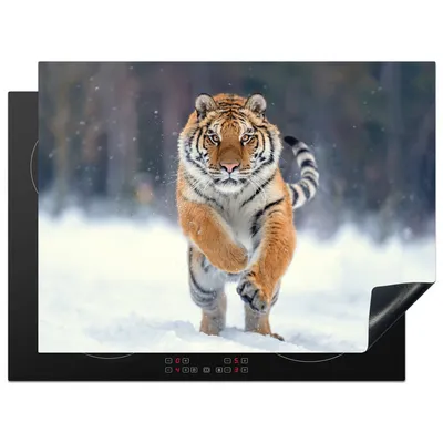 Produktbild von KitchenYeah© Herdabdeckplatte Tiger - Landschaft - Schnee - Tiere , 71x52cm, Küche Deko, Glaskeramikkochfeld Herdabdeckung, Abdeckplatte fùr Kochfeld