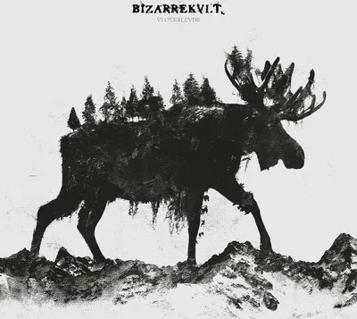 Obrázok produktu pre Bizarné: Bizarné: (180g) - jpc records - (Vinyl / Pop (Vinyl))