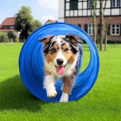Produktbild von Hunde Agility Tunnel Hundetunnel 55x150cm Spieltunnel LZ
