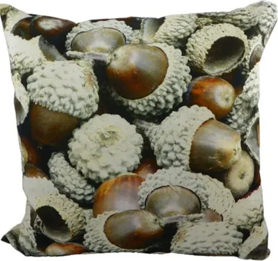 Produktbild von Landhaus Kissen - Dekokissen Eicheln ca 50 x 50 cm