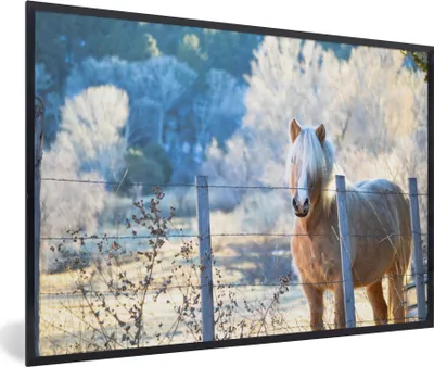 Produktbild von MuchoWow® Gerahmtes Poster Pferd - Winter - Schnee 90x60 cm - Poster mit Schwarzem Bilderrahmen Wandposter Rahmen Foto Bilder - Fotorahmen - Foto-Plakat