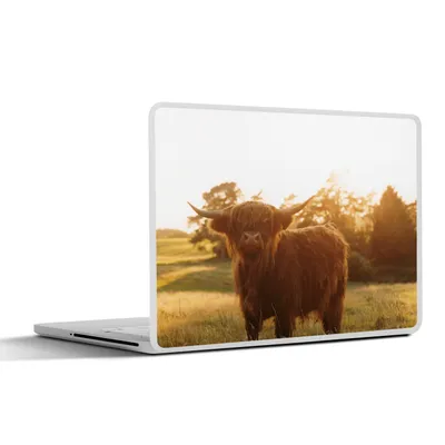 Produktbild von MuchoWow® Laptop Aufkleber Sticker Cover Schottischer Hochländer - Gras - Sonne 36.5x27.5 cm - Laptop-Sticker