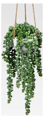 Produktbild von Künstliche Hängepflanze Senecio Sukkulenten in Hängeampel, Höhe 35,5 cm