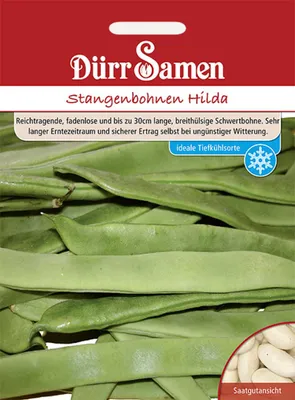 Produktbild von Dürr-Samen - Stangenbohnen Hilda - Saatgut - 0316
