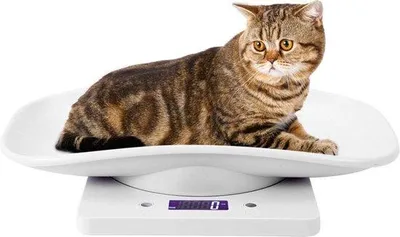 Obrázek produktu pro Digitální váha pro domácí mazlíčky, nosnost 10 kg, protiskluzová
