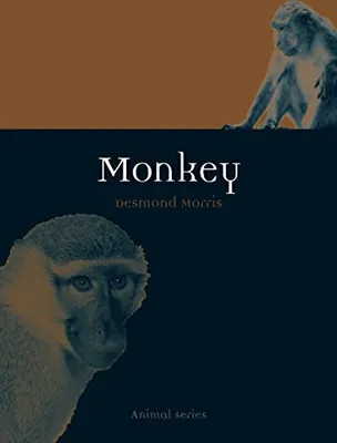 Produktbild von Monkey