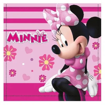 Produktbild von Disney Minnie Sweet Bow Handtuch, Gesichtstuch, Handtuch