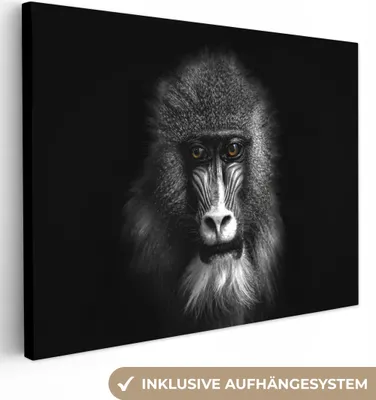 Produktbild von MuchoWow® - Leinwandbilder - Affe - Tiere - Augen - Braun - Schwarz und weiß, Wandbild, Wanddeko Bilder Wohnzimmer, 80x60cm