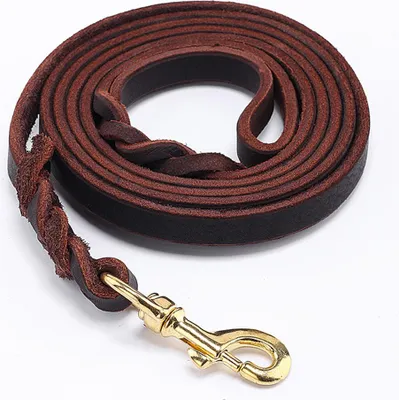 Produktbild von Hundetrainingsleine mit Karabiner, robuste Hundeleine für große, mittlere und kleine Hunde