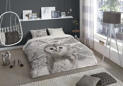 Produktbild von good morning Flanell Bettwäsche 3 teilig Bettbezug 200 x 220 cm Kopfkissenbezug 60 x 70 cm Owl 6700.03.02 Grey