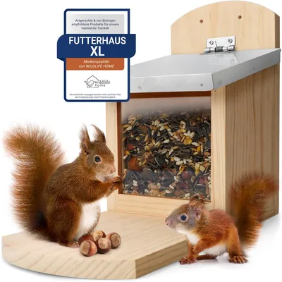 Produktbild von WILDLIFE HOME Eichhörnchen Futterhaus XL mit Metalldach I Futterstation aus verschraubtem Massiv-Holz I Wetterfest & Unbehandelt I Eichhörnchenhaus für Eichhörnchenfutter
