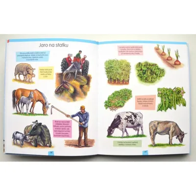 Immagine prodotto di Illustrierte Enzyklopädie für Kinder: Leben auf dem Bauernhof