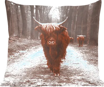 Produktbild von MuchoWow® Zierkissen Sofakissen Wohnzimmer Dekokissen 60x60 cm Schottisches Hochlandrind - Wald - Kuh - Tiere - Natur - Sitzfläche - Foto Polster