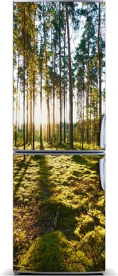 Produktbild von Tulup Kühlschrankdekoration - Magnetmatte - 60 cm x 180 cm - Magnet auf dem Kühlschrank - Ein Kiefernwald