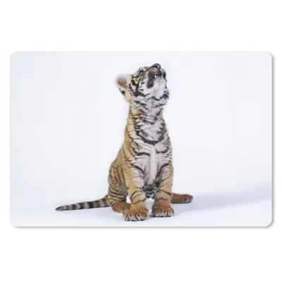 Produktbild von MuchoWow® Schreibtischunterlage Tiger - Jungtier - Weiß 60x40 cm - XXL Mauspad - Großes Mauspad