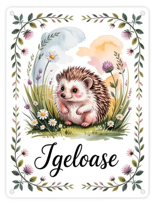 Produktbild von Idyllisch Igeloase Igel Metallschild in 15x20 cm für Naturliebhaber