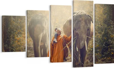 Produktbild von Bild auf Leinwand - Leinwandbild - Elefant Mönch Dschungel - 100x60cm - Wand Bild - Wanddeko - Leinwanddruck - Bilder - Kunstdruck - Wanddekoration - Leinwand bilder - Wandkunst - EG100x60-3453