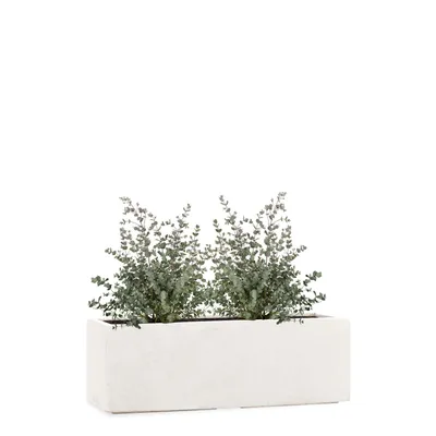 Produktbild von PFLANZWERK® Pflanzkübel TUB 50cm SAND Fensterbank Premium Blumenkübel mit Lotus-Effekt Fiberglas - Handgefertigt - Frostbeständig