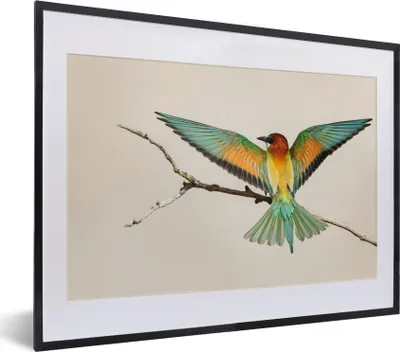 Produktbild von MuchoWow® MuchoWow® Gerahmtes Poster Vogel - Zweig - Grün 40x30 cm - Poster mit zchwarzem Bilderrahmen - Bilderrahmen - Poster im Rahmen