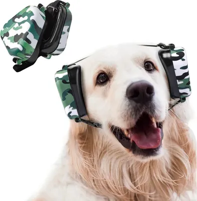A golden retriever dog wearing camouflage ear protection.