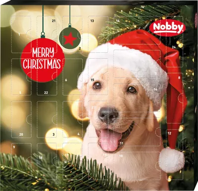 Produktbild von Nobby Adventskalender StarSnack für Hunde