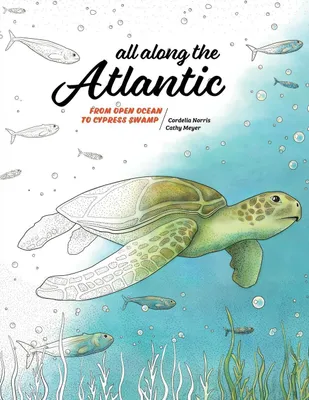 Produktbild von All Along the Atlantic