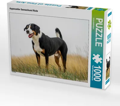Produktbild von CALVENDO Puzzle Appenzeller Sennenhund Rüde | 1000 Teile Lege-Größe 64x48cm Foto-Puzzle für glückliche Stunden